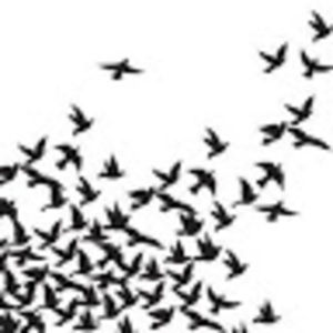 Meet your Posher, Lucy